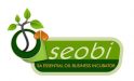 SEOBI logo copy